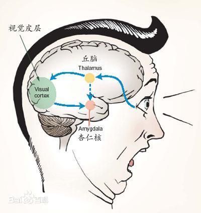 了解情绪的源头,你才能真正懂人性,才能真正调动智慧