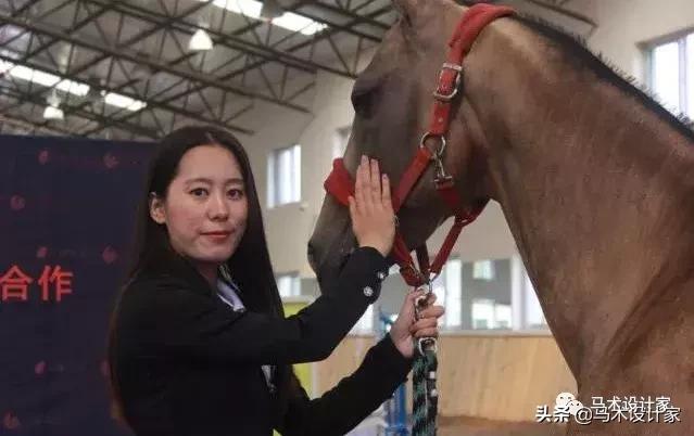 台湾养马场,台湾新竹马场