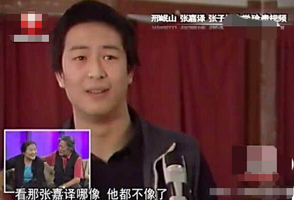 人生最坏不过大器晚成张嘉译,大器晚成张嘉译的七部电视剧