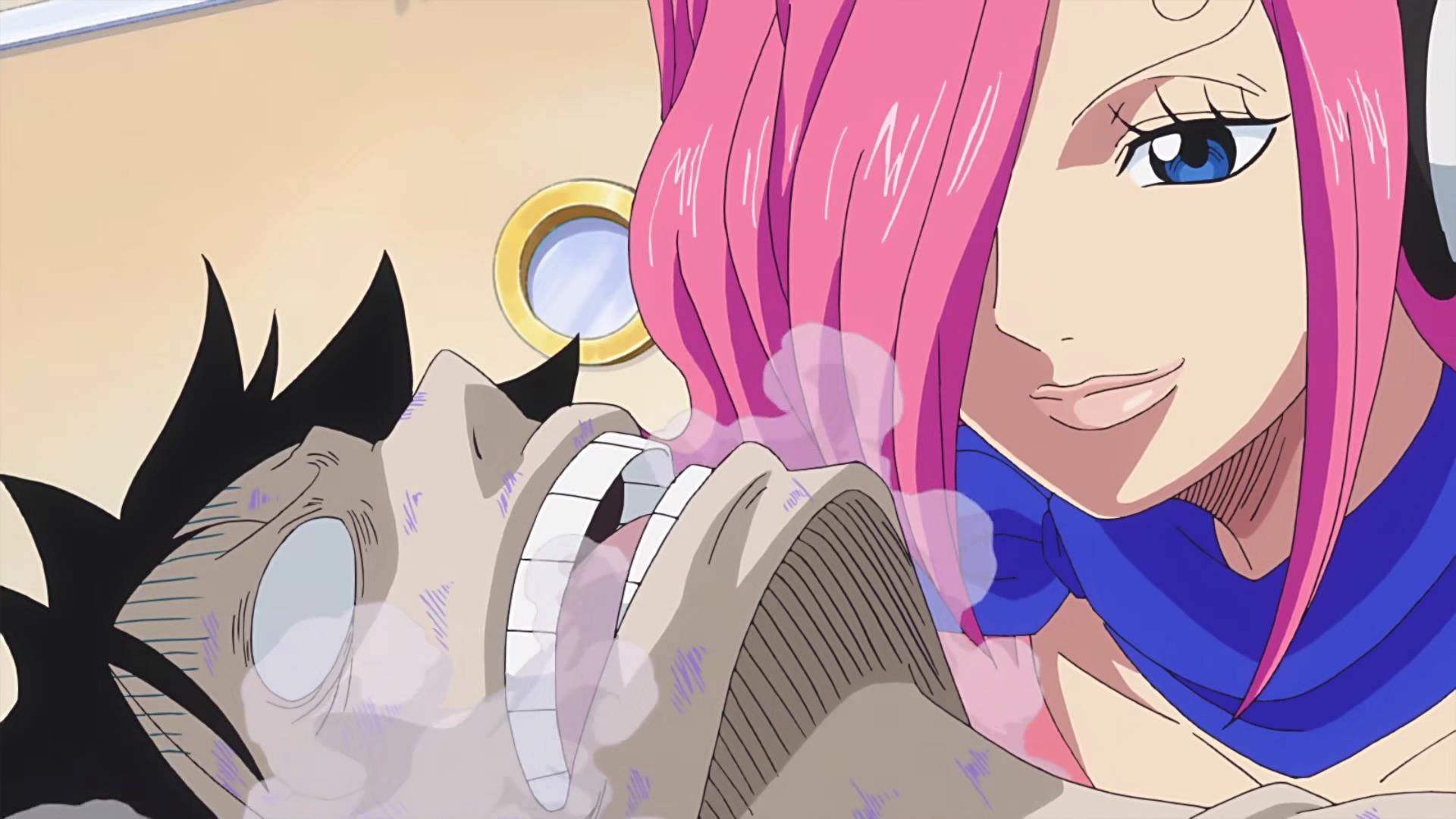 海贼王五种特殊治愈能力,海贼王最强治疗