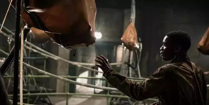 战争丧尸片,战争时期丧尸电影