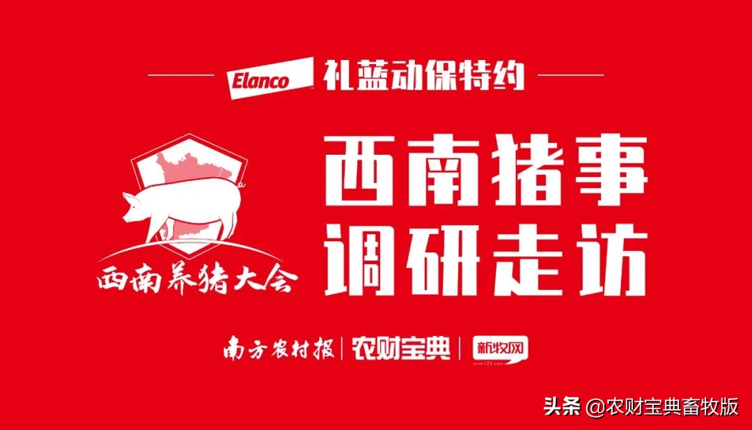 昆明盘古科技：“以茶会友”不走寻常路，主动拥抱无抗养殖大势|西南猪事