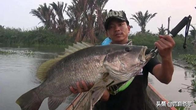 玩路亚老是炸线怎么回事,钓路亚老是炸线是什么原因