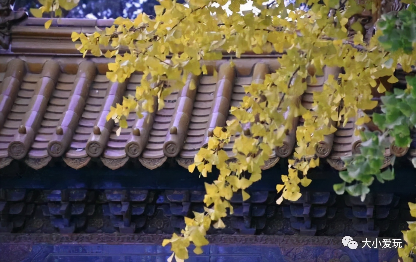 北京红螺寺银杏最佳观赏时间,北京赏银杏景区有哪些