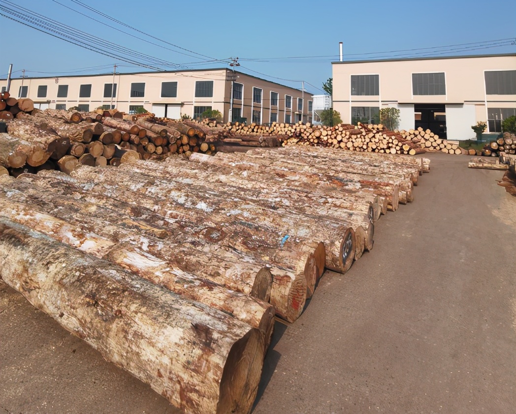 武汉杉木桩规格和价格是多少,质量好的杉木桩