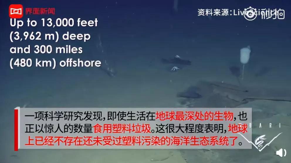 上海现在垃圾分类怎么样了,上海垃圾分类目前的现状