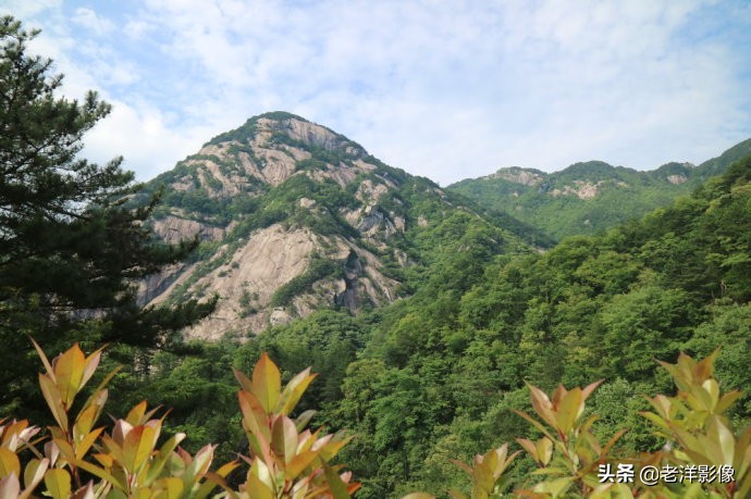 藏龙大别山度假酒店,罗田天堂寨藏龙大酒店价格