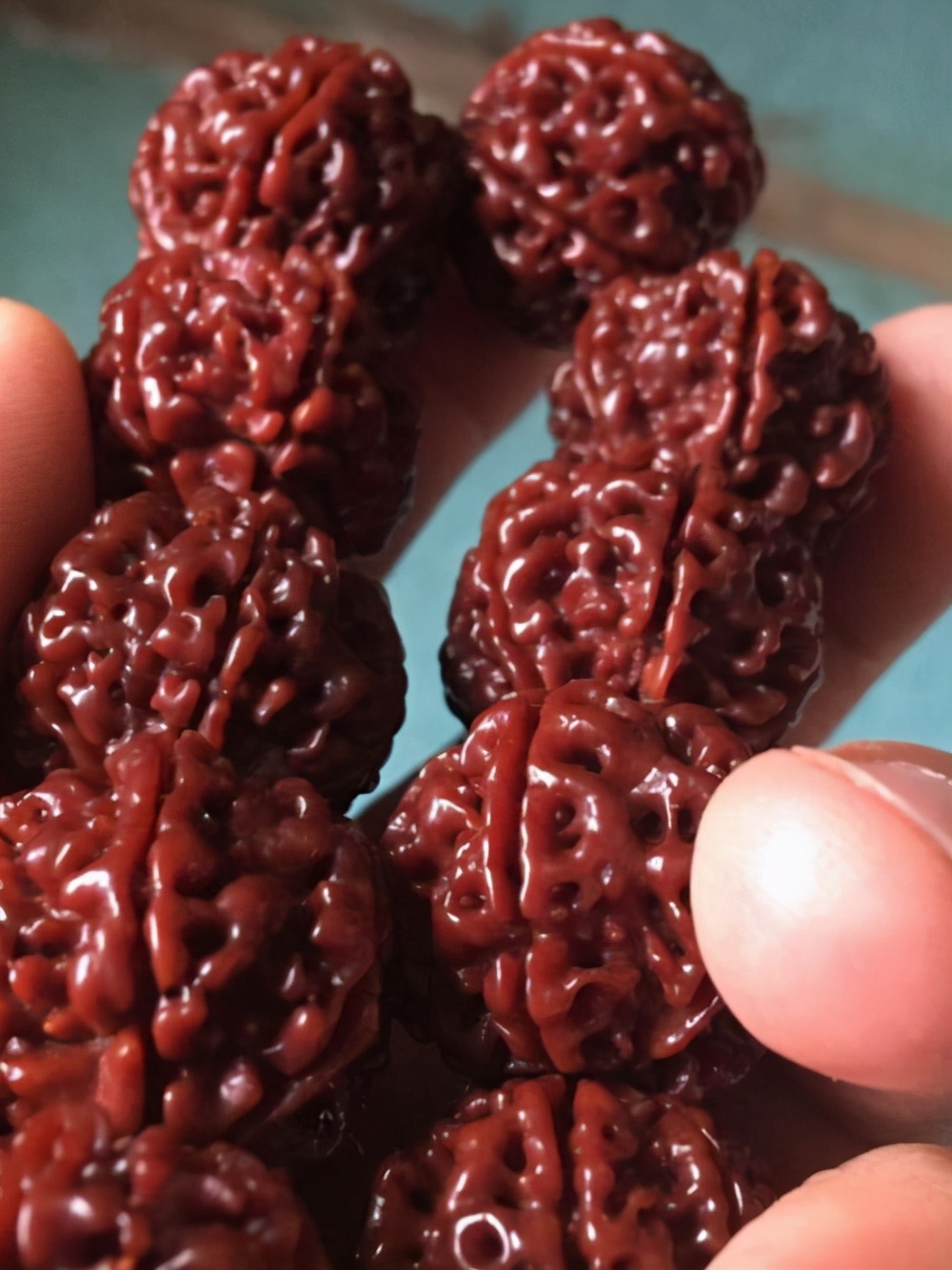 现在不玩金刚菩提了都玩什么,金刚菩提的基础知识