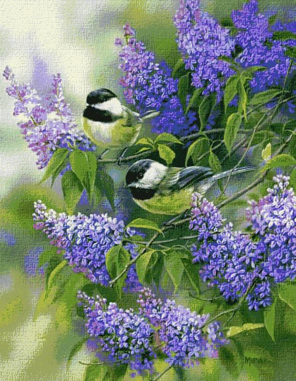 我的家庭相册书籍,我的家庭相册黑白人像