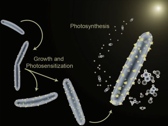 远超美国，中国成化学第一大国，高质量论文超日韩印三国之和