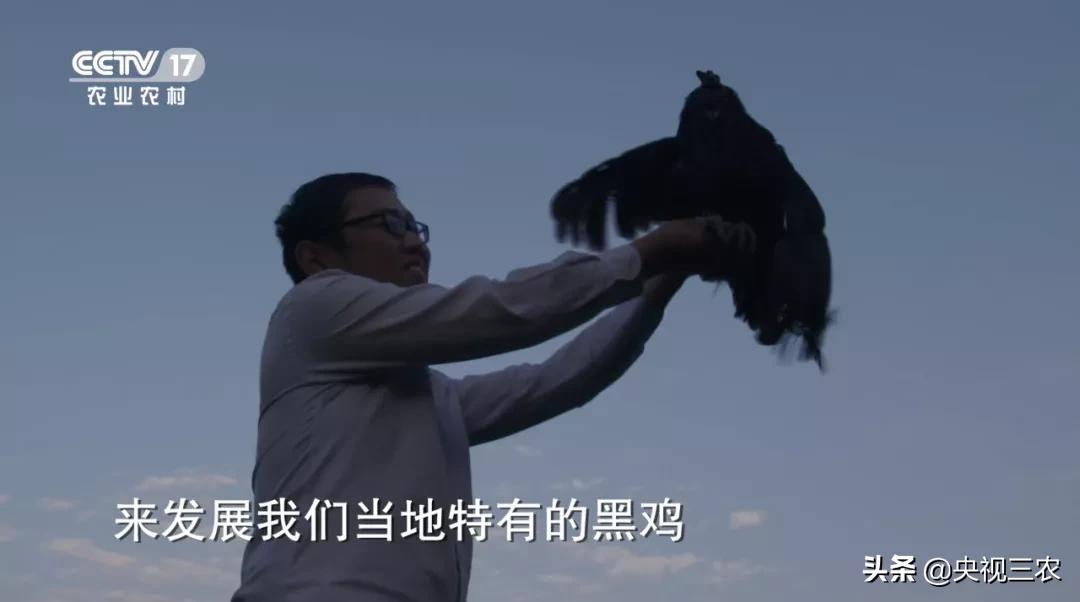 他放弃高薪回村干这一行，旁人不理解，如今大获成功