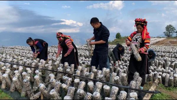 红河州发起脱贫攻坚总攻战,红河州决战决胜脱贫攻坚