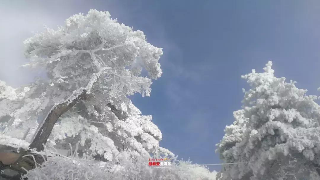 此刻泰山成了雪国,美到无言!高清美图来袭,“雪国的列车”即刻发车!