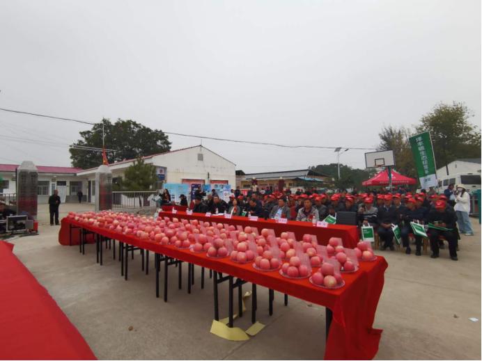 陕西农林卫视中国农资秀,农林卫视中国农资秀棉花