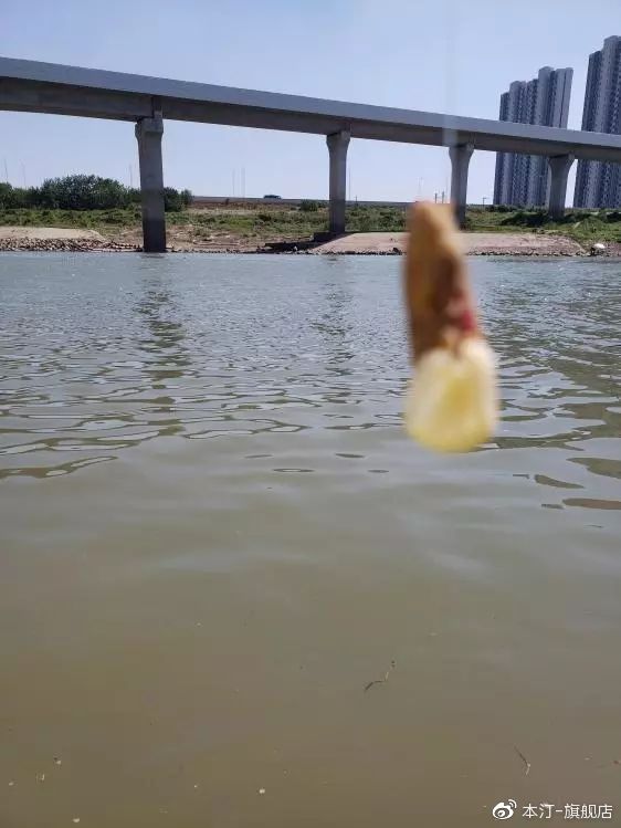 本汀金迦潘求败夜战罗非,本汀金迦潘求败评测