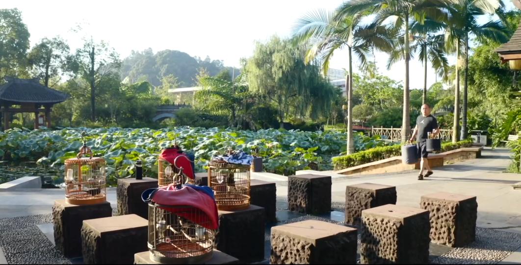 快看这个视频，剧透竹公溪未来有多美