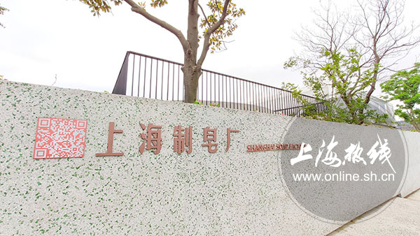 杨浦最新网红打卡,上海杨浦区网红打卡