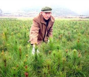 干小生意真的比打工挣钱吗,在农村做这4个小生意收入至少20万