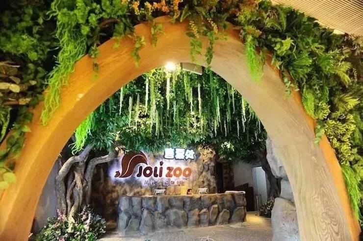 深圳十大暑假室内必去景点,深圳暑假值得带孩子旅游的地方