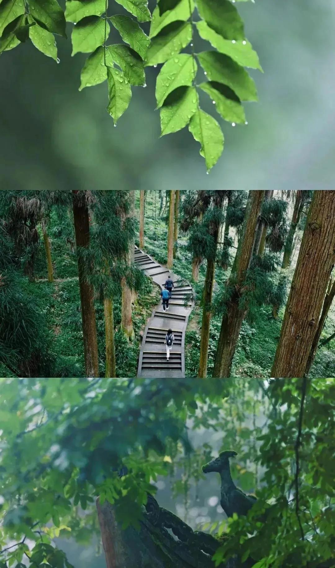 城市观察城市生活,都江堰城市特点