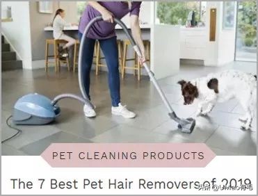 刷毛神器猫毛清理器,真正好用的猫去毛神器