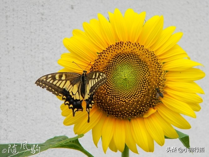 单车骑行无锡,无锡单车骑行路线
