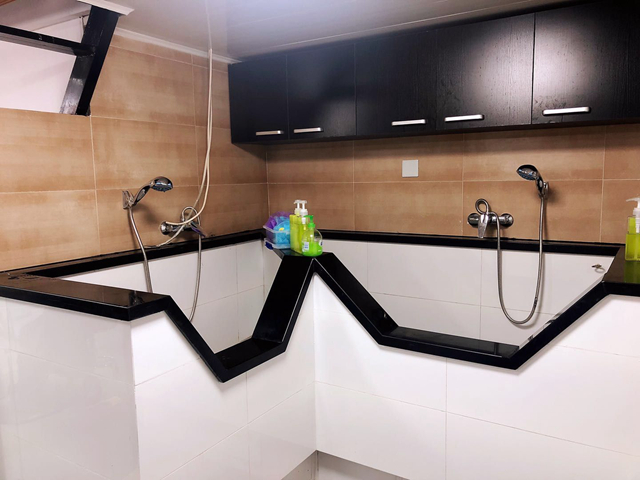 创业开宠物店怎么样赚钱快,创业开宠物店