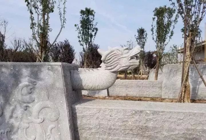 濮阳最大的草坪公园,濮阳龙湖附近千亩湿地公园