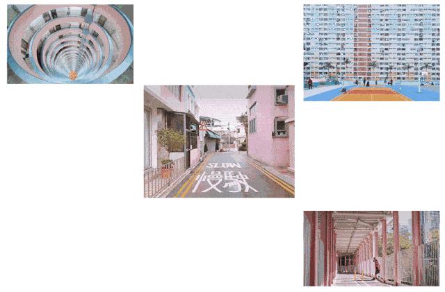 香港自由行遛娃,香港遛娃攻略