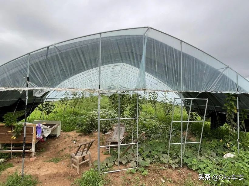 7天3000公里,宝马x57000公里发现烧机油