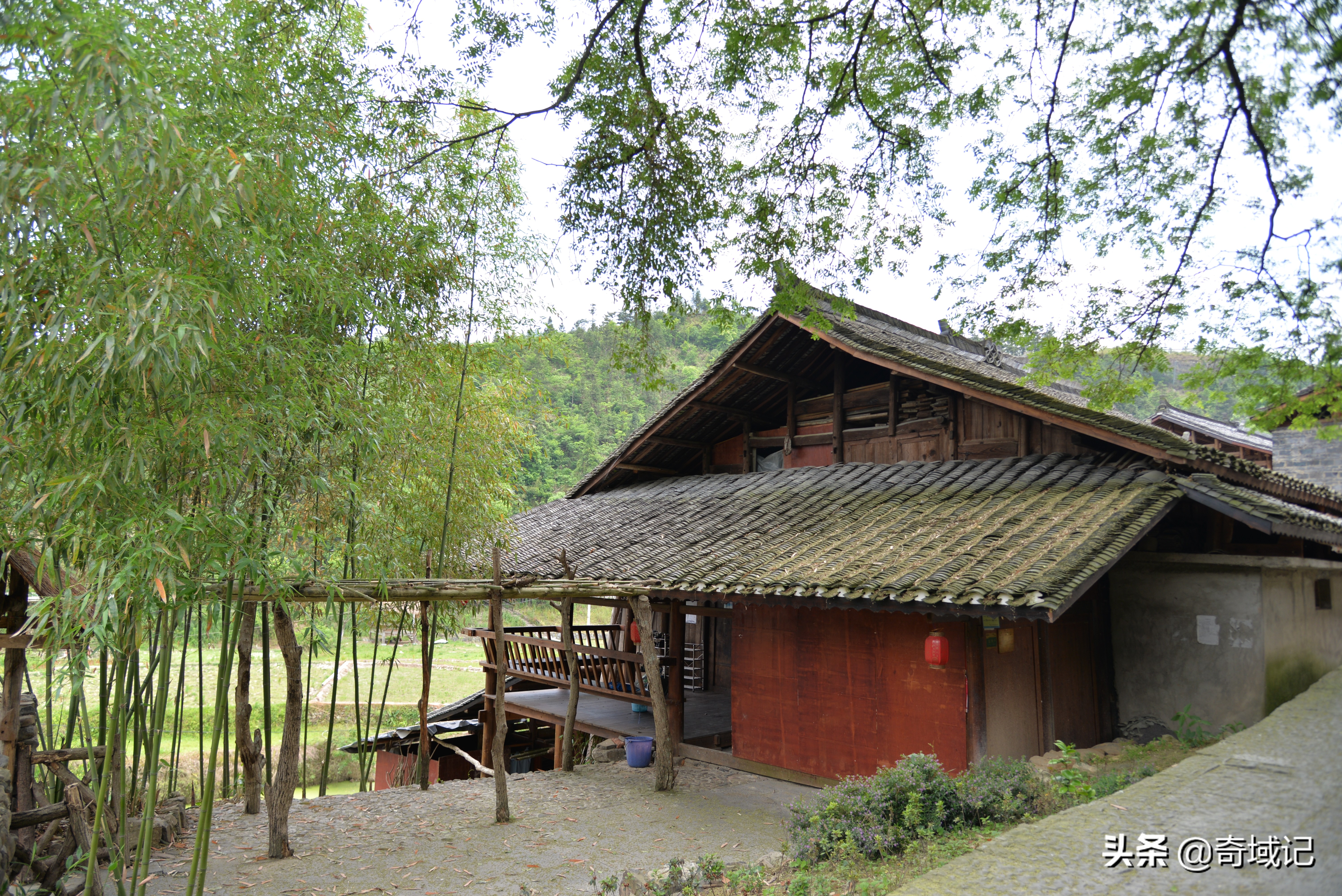 贵州苗族最长独木龙舟赛视频,贵州黔东南龙舟长滩