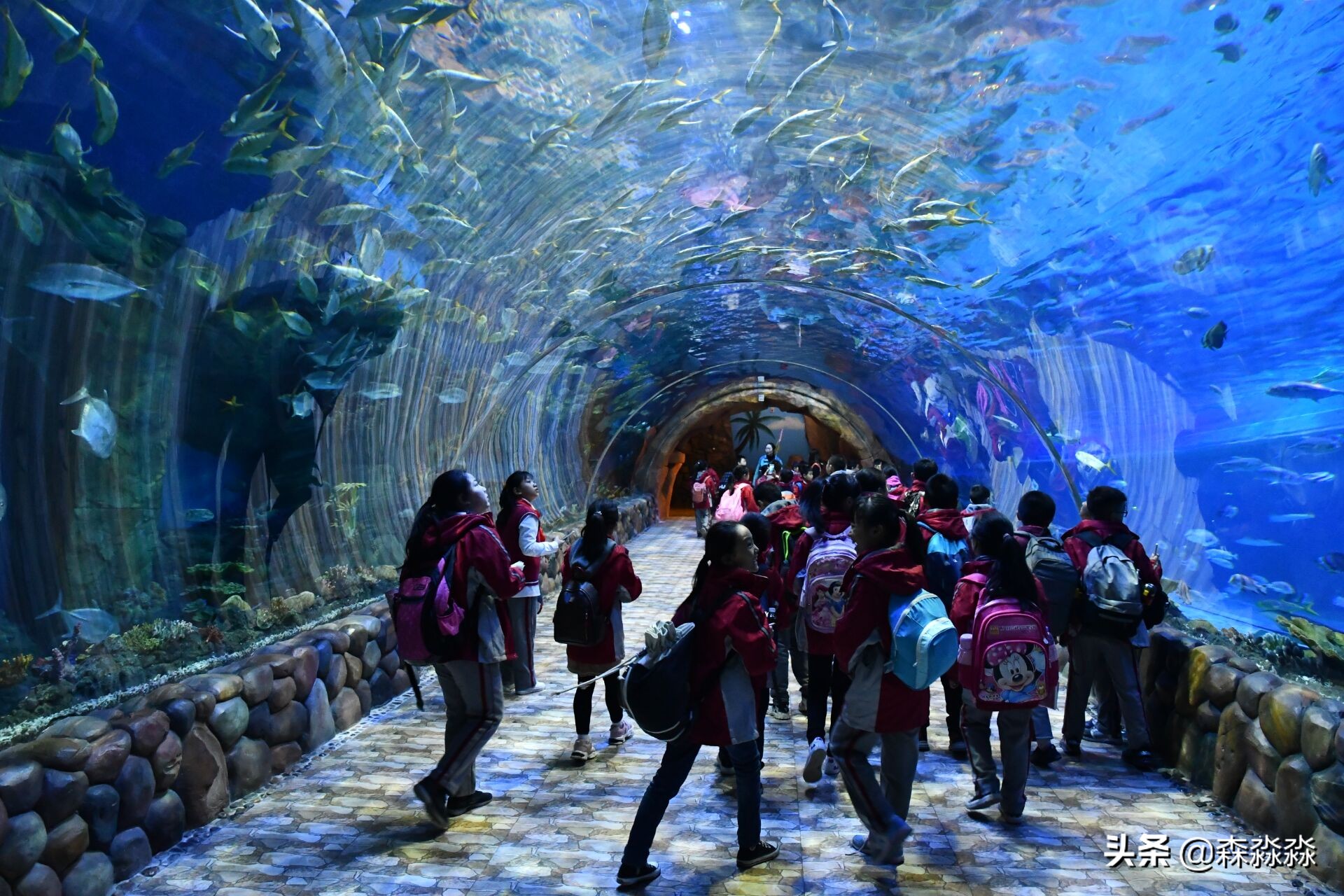 西安研学旅游活动,放飞海洋梦想感受丝路传奇手抄报