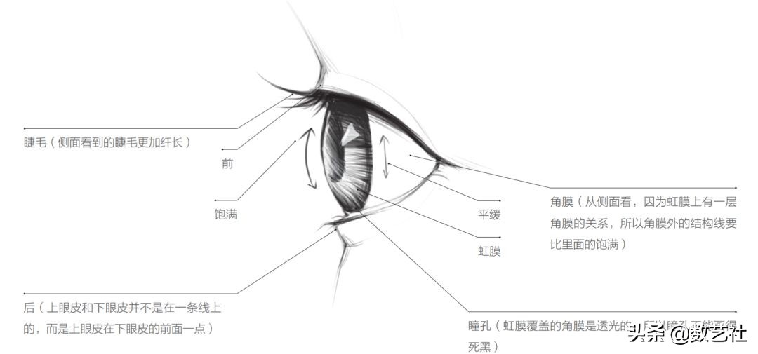 手绘大触在线换脸用的什么软件,绘画大触在线改画