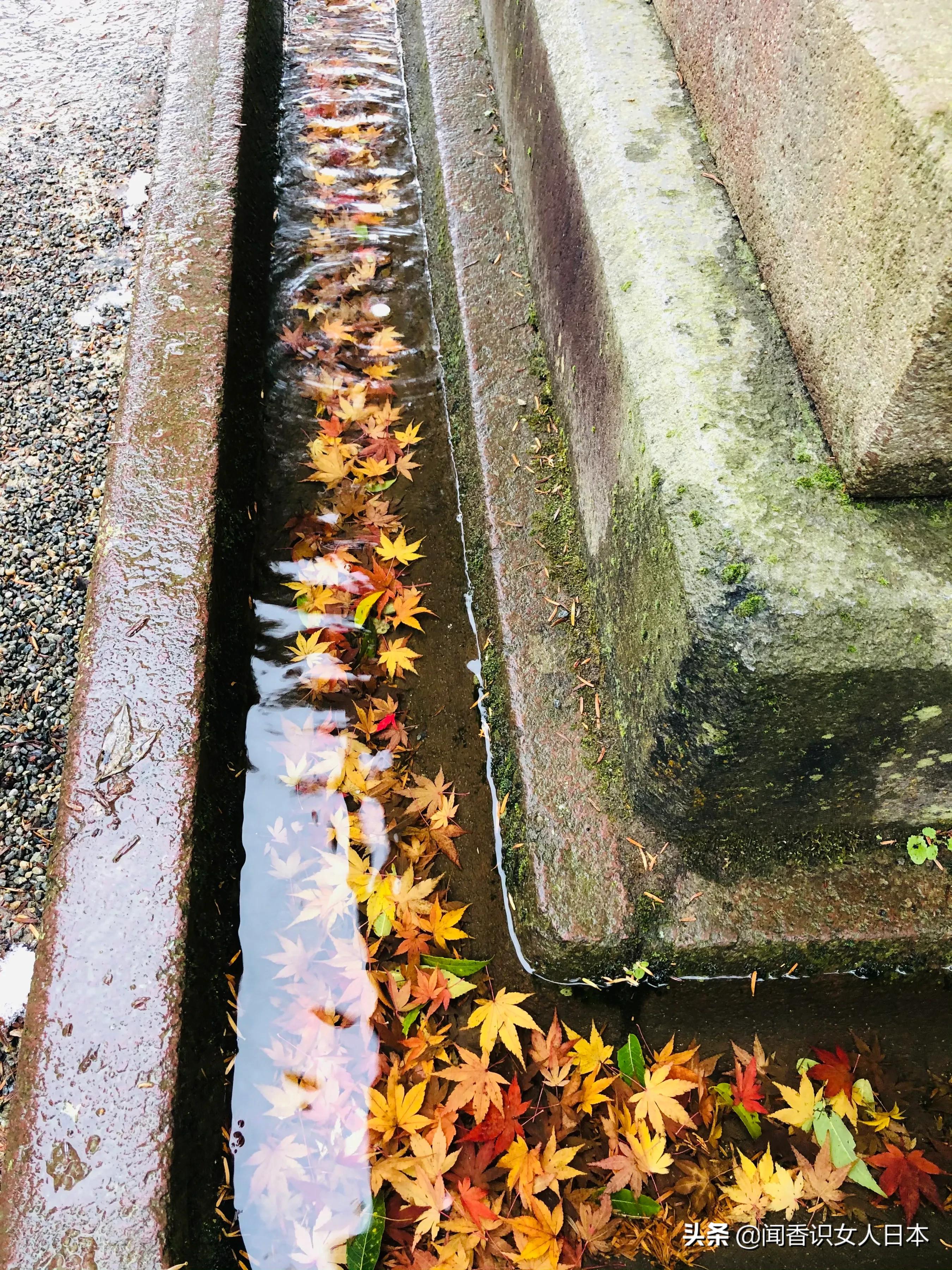 日本三大园林,日本三大名园之一