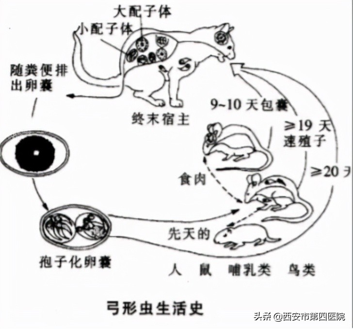 健康中国2030预防大于治疗,健康中国行动新生儿科