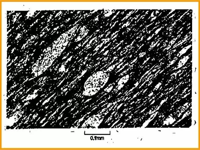 地质知识大全及讲解,地质知识大全讲解