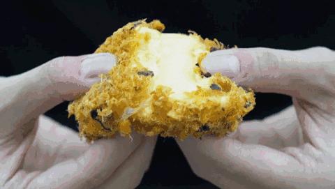 鲍师傅1.9秒杀,鲍师傅预购