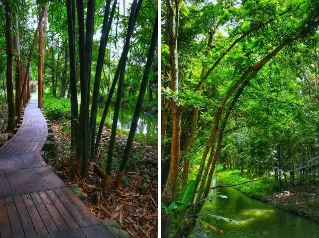 热炸！四川这些小众避暑佳境，光看图就能凉快10℃