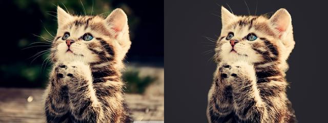 告别抠图烦恼!从此抠图更轻松,PS自动抠图超级插件免费领取