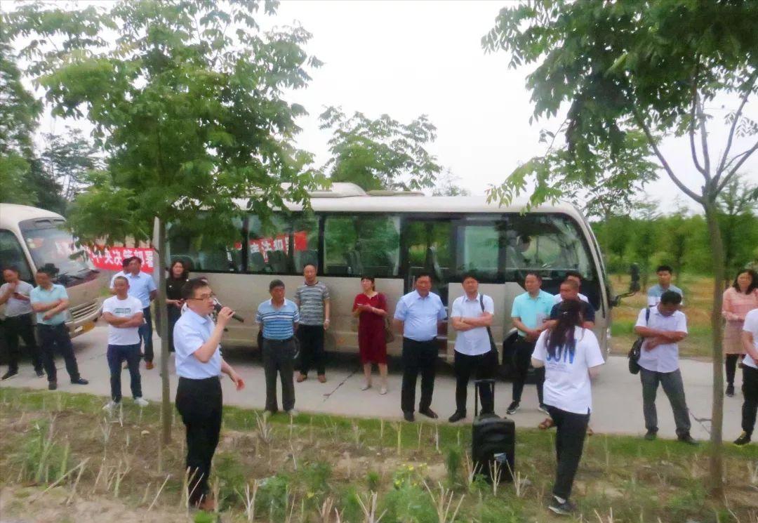 种植摇钱树致富经,荒山种植摇钱树