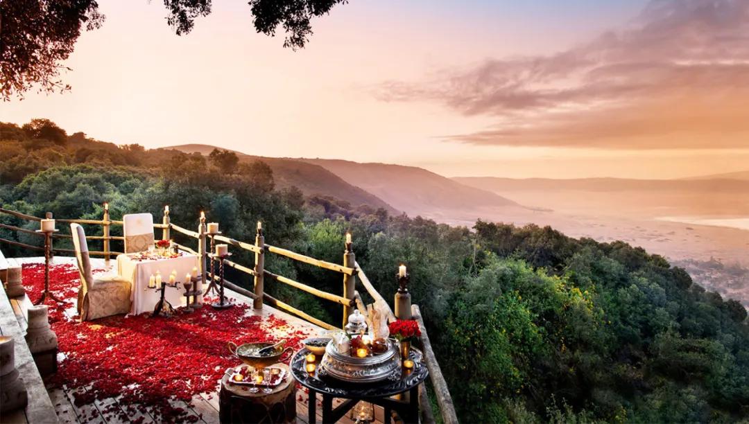 世间稀有的白色长颈鹿母子，在非洲被残忍猎杀，发现时只剩骨骼