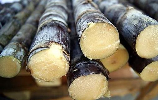 甘蔗糖吃多了会引起糖尿病吗,甘蔗蔗糖糖尿病人能吃吗