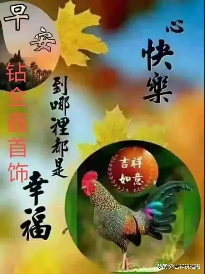 早安动态图片美好心情从早晨开始,适合早晨发的高情商短句早安图片