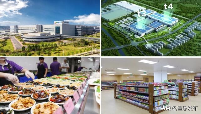 湖北垄上频道今日节目表,湖北垄上行招聘