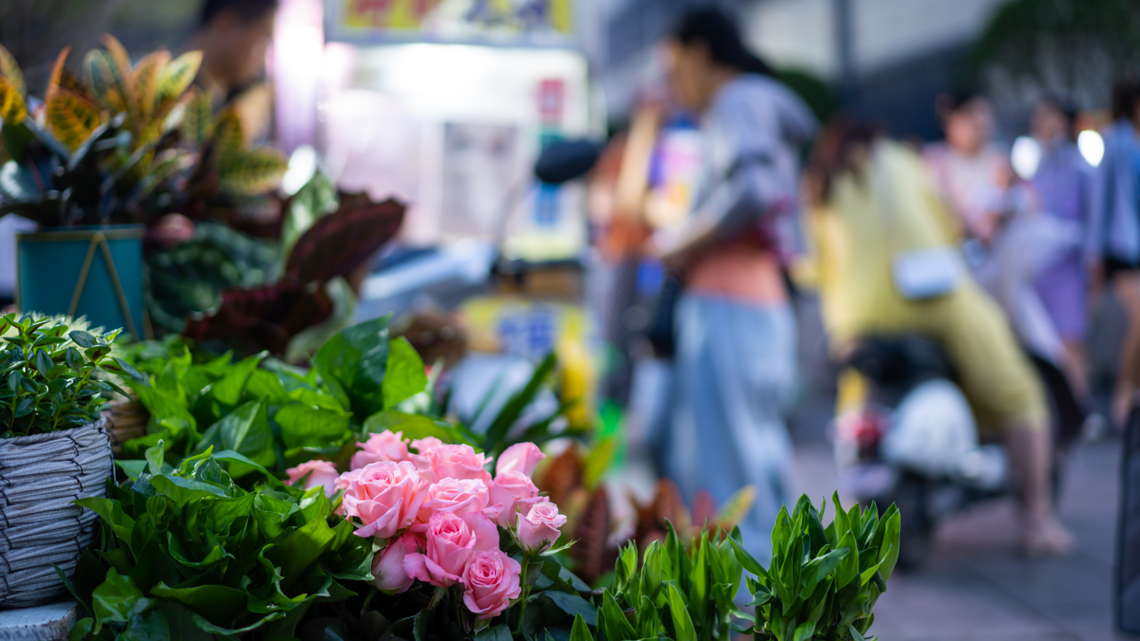 心仪之城连云港,心仪之城赣州