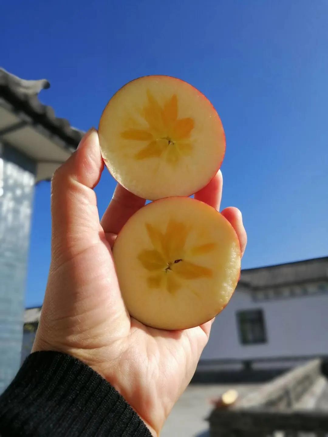 一家三口在大理租房,一家三口的田园生活