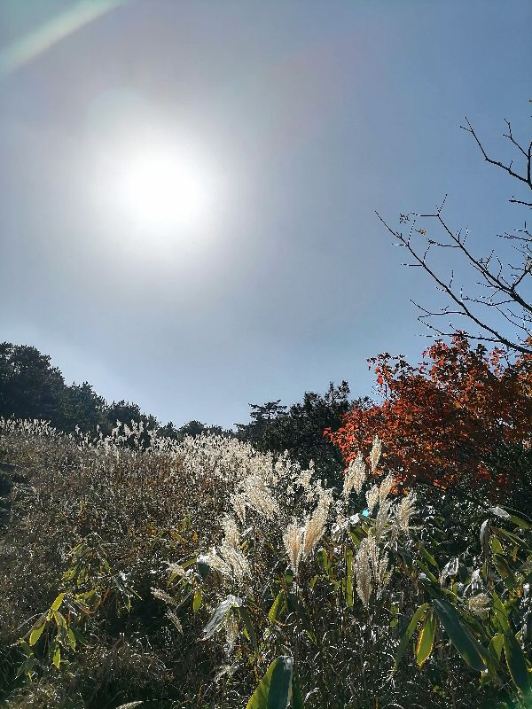 安徽天堂寨到罗田天堂寨沿途,从罗田天堂寨到安徽天堂寨