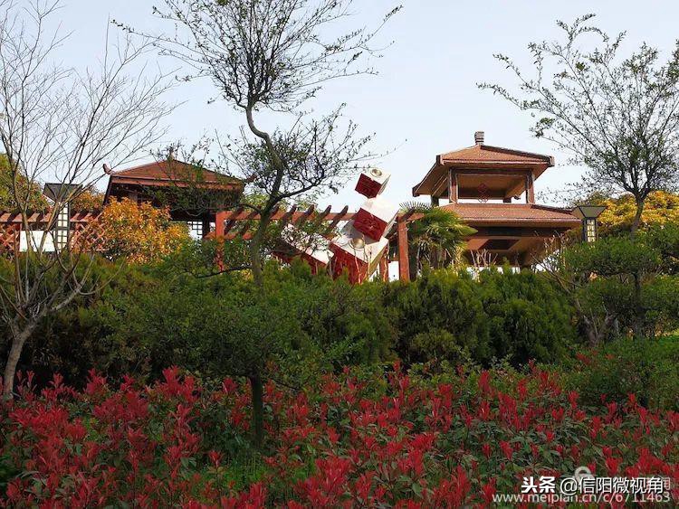 信阳154医院老兵发文追忆：永远的一五四（图）