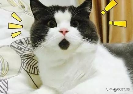 入伏防暑养生注意事项,关于热射病的这些知识一定要知道