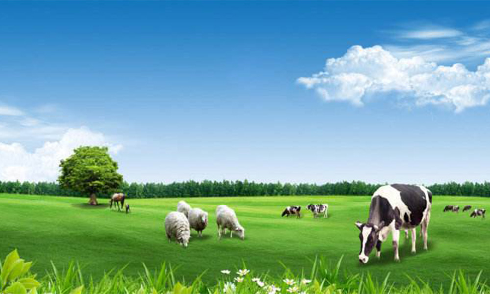 怎么选择婴儿奶粉比较好,如何选择适合宝宝的婴儿配方奶粉